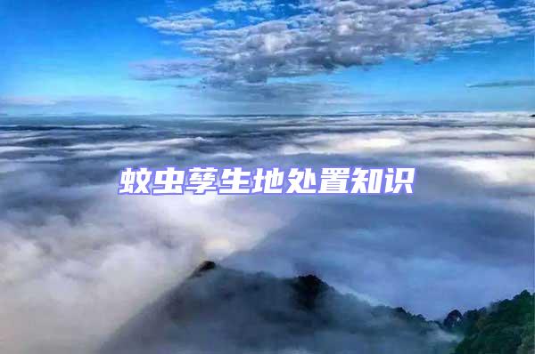 蚊蟲孳生地處置知識