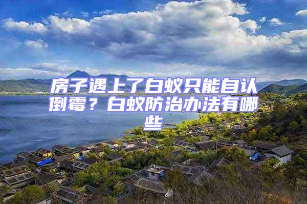 房子遇上了白蟻只能自認(rèn)倒霉？白蟻防治辦法有哪些