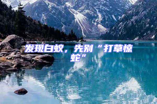 發現白蟻，先別“打草驚蛇”