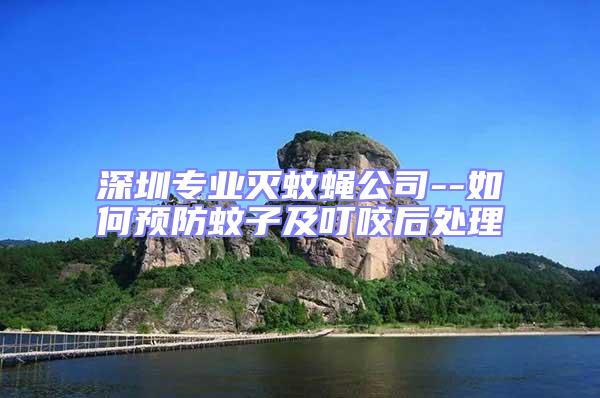 深圳專業(yè)滅蚊蠅公司--如何預(yù)防蚊子及叮咬后處理