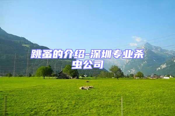 跳蚤的介紹-深圳專業殺蟲公司