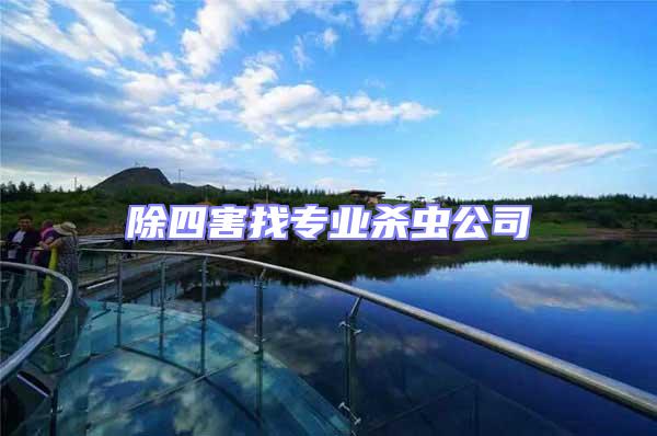 除四害找專業殺蟲公司
