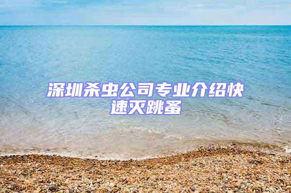 深圳殺蟲公司專業介紹快速滅跳蚤