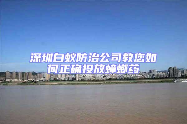 深圳白蟻防治公司教您如何正確投放蟑螂藥