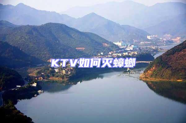 KTV如何滅蟑螂