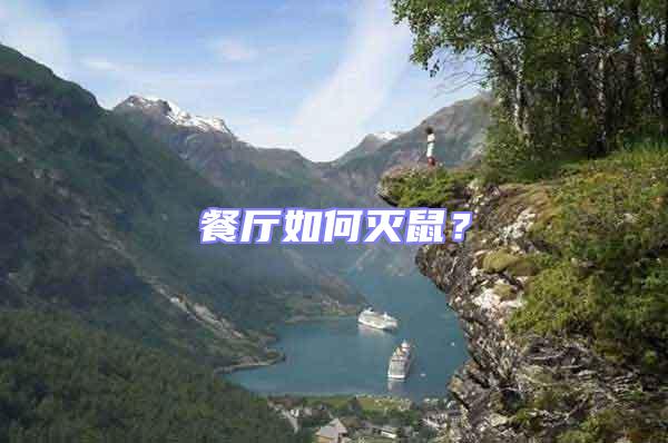 餐廳如何滅鼠？