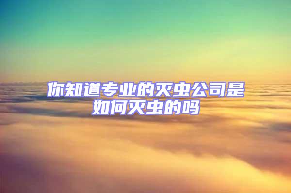 你知道專業(yè)的滅蟲公司是如何滅蟲的嗎
