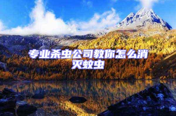 專業殺蟲公司教你怎么消滅蚊蟲