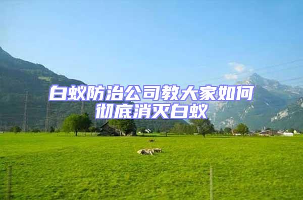 白蟻防治公司教大家如何徹底消滅白蟻