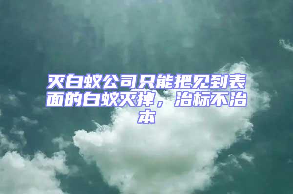 滅白蟻公司只能把見到表面的白蟻滅掉，治標不治本