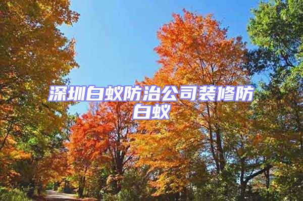 深圳白蟻防治公司裝修防白蟻