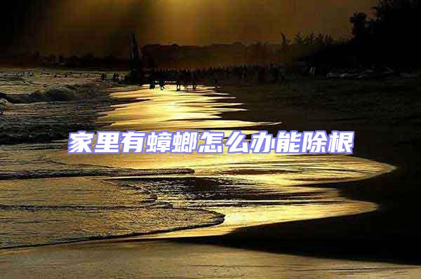 家里有蟑螂怎么辦能除根