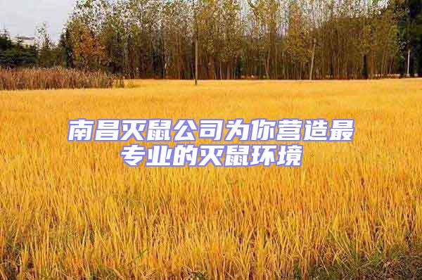 南昌滅鼠公司為你營造最專業的滅鼠環境