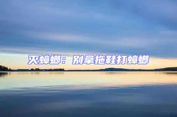 滅蟑螂：別拿拖鞋打蟑螂