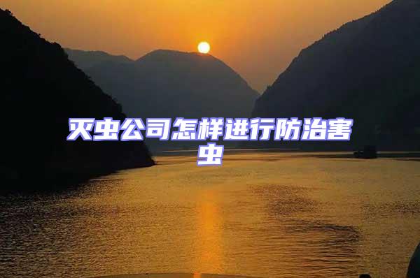 滅蟲公司怎樣進行防治害蟲
