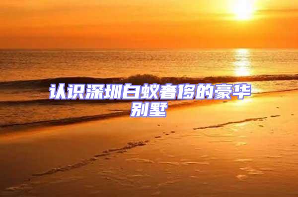 認識深圳白蟻奢侈的豪華別墅