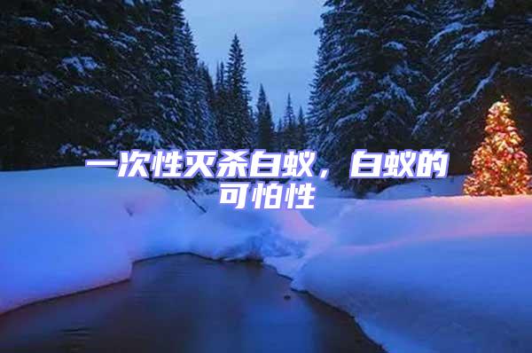 一次性滅殺白蟻，白蟻的可怕性