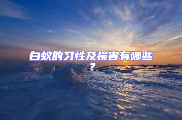 白蟻的習性及損害有哪些？