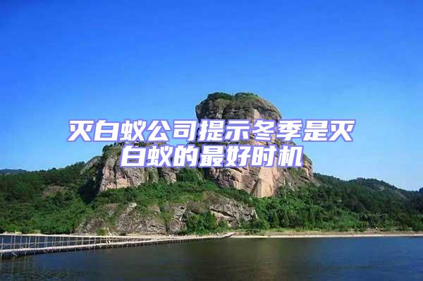 滅白蟻公司提示冬季是滅白蟻的最好時機(jī)