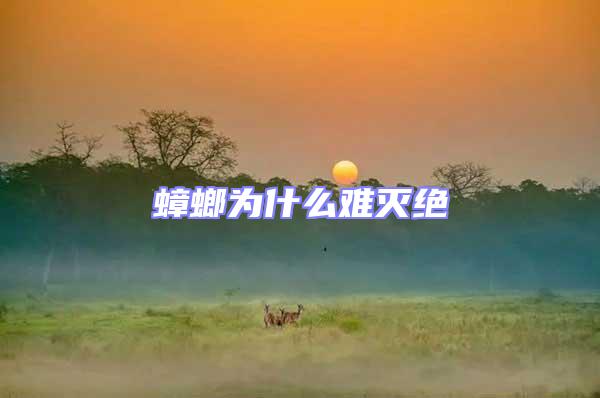 蟑螂為什么難滅絕