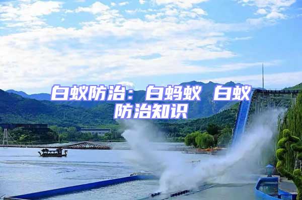 白蟻防治：白螞蟻 白蟻防治知識