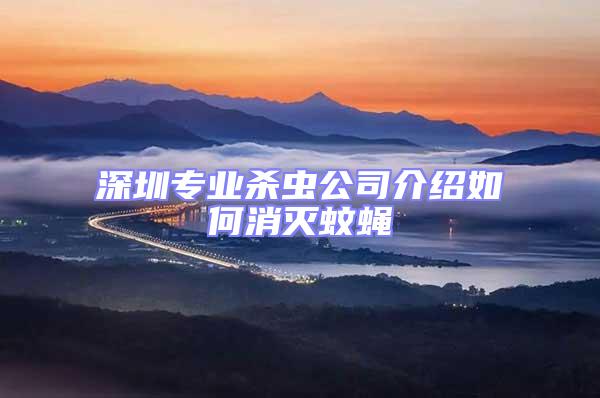 深圳專業殺蟲公司介紹如何消滅蚊蠅
