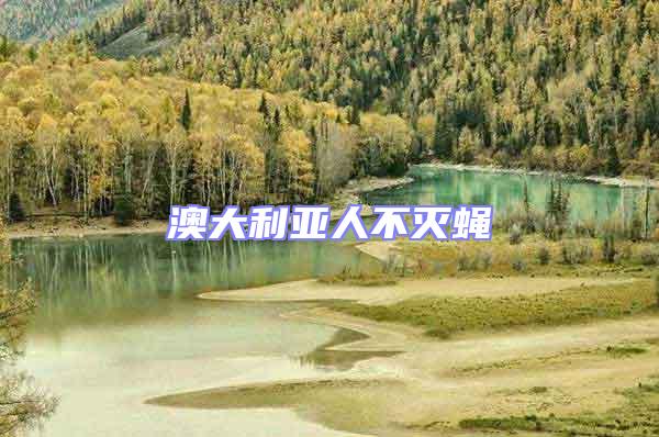 澳大利亞人不滅蠅