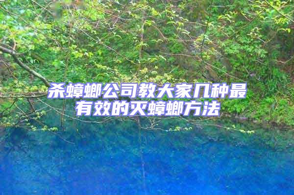 殺蟑螂公司教大家幾種最有效的滅蟑螂方法