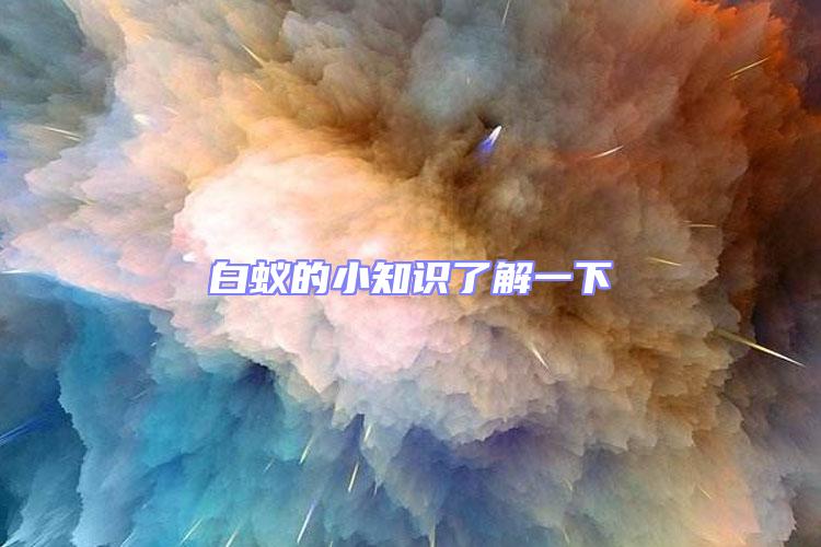 白蟻的小知識(shí)了解一下
