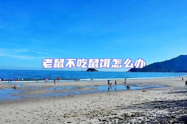 老鼠不吃鼠餌怎么辦