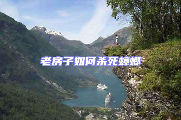 老房子如何殺死蟑螂