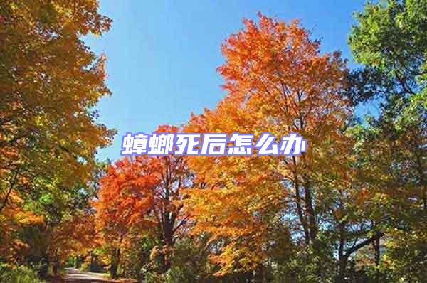 蟑螂死后怎么辦