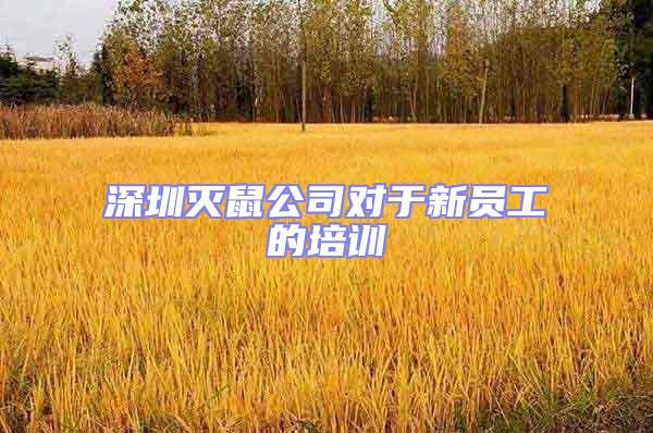 深圳滅鼠公司對于新員工的培訓