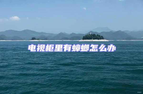 電視柜里有蟑螂怎么辦