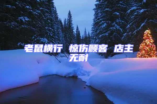 老鼠橫行 驚傷顧客 店主無耐