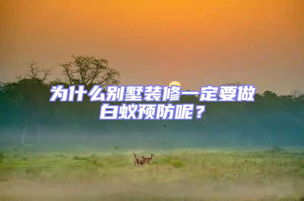 為什么別墅裝修一定要做白蟻預防呢？