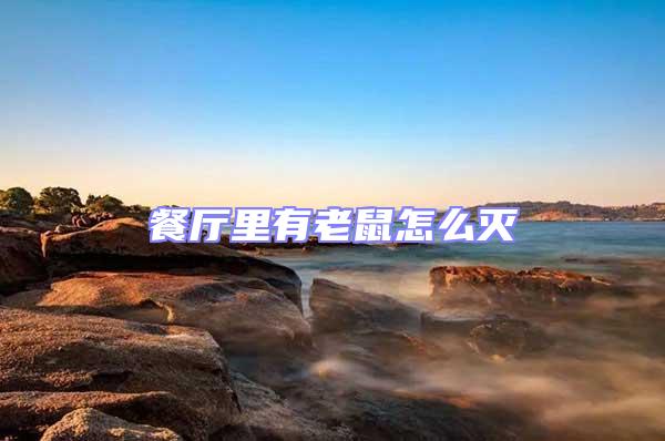 餐廳里有老鼠怎么滅