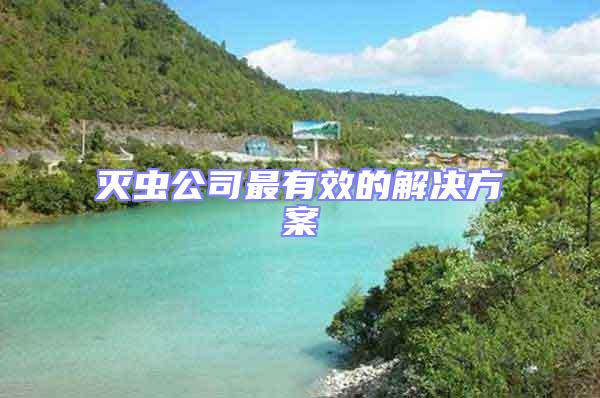 滅蟲公司最有效的解決方案