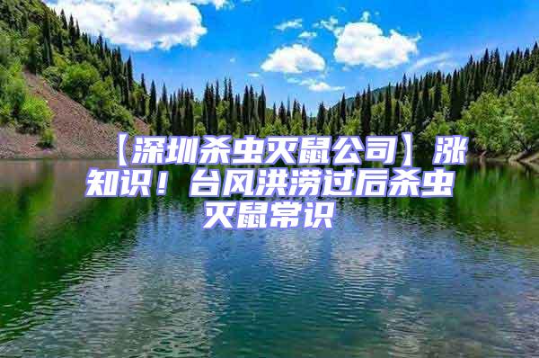 【深圳殺蟲滅鼠公司】漲知識！臺風洪澇過后殺蟲滅鼠常識