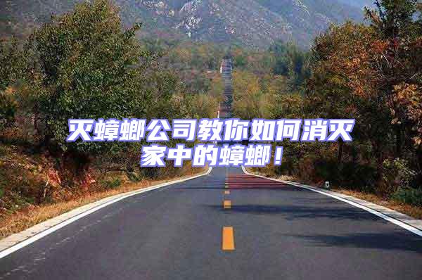 滅蟑螂公司教你如何消滅家中的蟑螂！