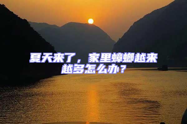 夏天來了，家里蟑螂越來越多怎么辦？