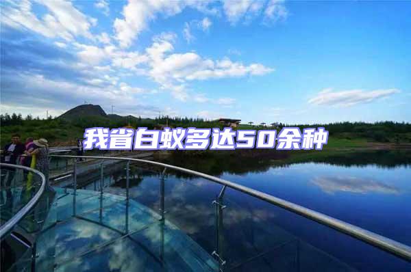我省白蟻多達50余種