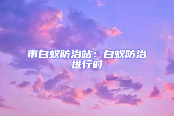 市白蟻防治站：白蟻防治進(jìn)行時(shí)