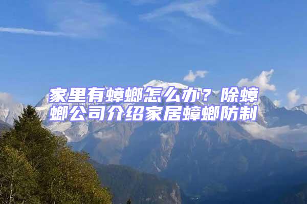 家里有蟑螂怎么辦？除蟑螂公司介紹家居蟑螂防制