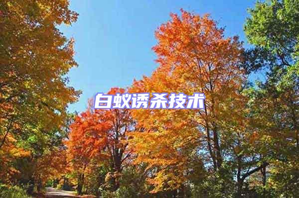 白蟻誘殺技術