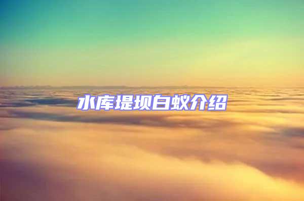 水庫(kù)堤壩白蟻介紹