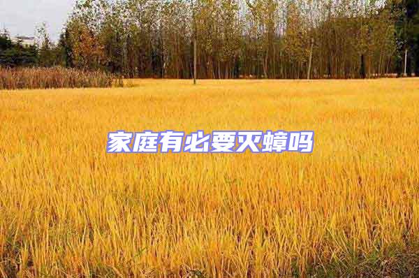 家庭有必要滅蟑嗎