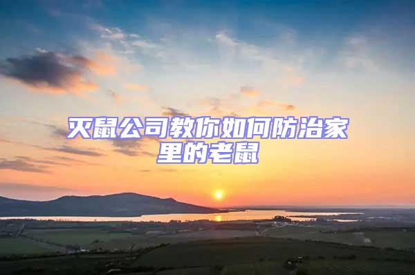滅鼠公司教你如何防治家里的老鼠