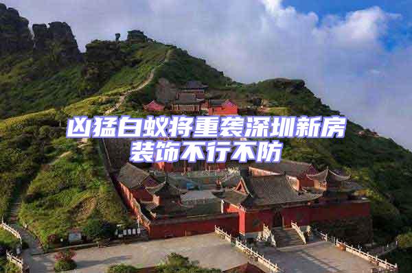 兇猛白蟻將重襲深圳新房裝飾不行不防