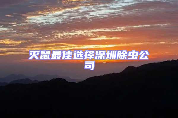 滅鼠最佳選擇深圳除蟲公司